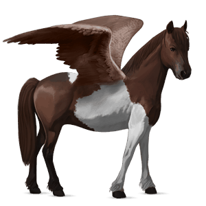 poney pégase français de selle isabelle