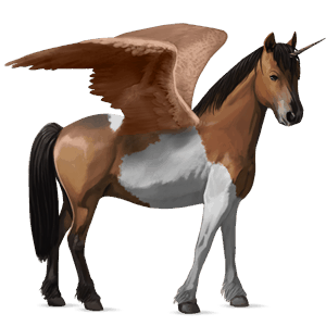 poney licorne ailé kerry bog pie tobiano bai