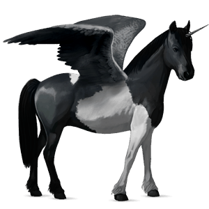 poney licorne ailé kerry bog pie noir tobiano
