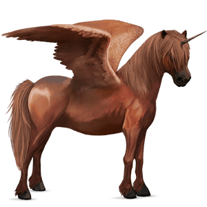 poney licorne ailé highland pony bai