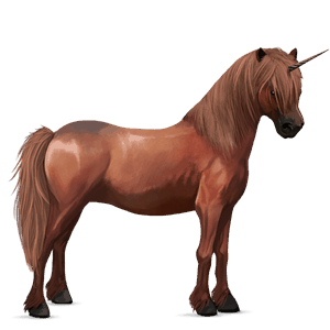 poney licorne new forest alezan