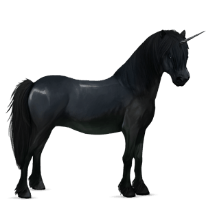 poney licorne pottok bai cerise