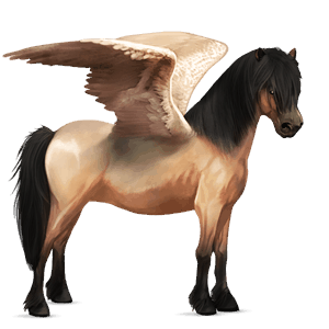 poney pégase poney de selle belge isabelle