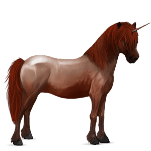 poney licorne quarter pony bai cerise