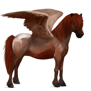 poney pégase poney de selle belge aubère