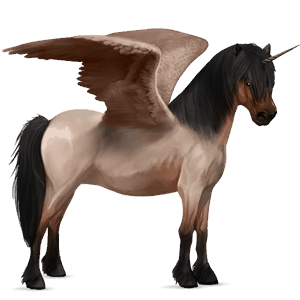 poney licorne ailé highland pony rouan