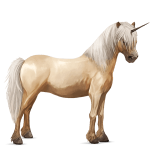 poney licorne quarter pony palomino