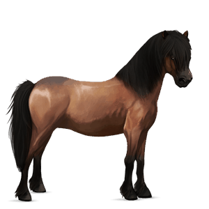 cheval de selle camargue gris pommelé