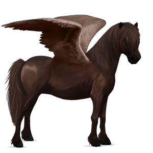 poney pégase poney de terre-neuve alezan