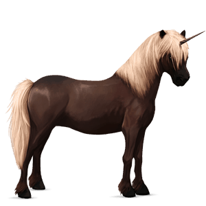 poney licorne highland pony gris pommelé