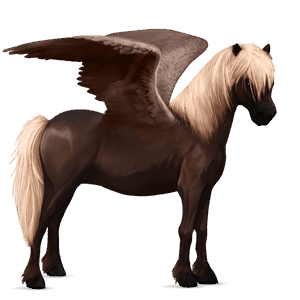 poney pégase shetland alezan crins lavés