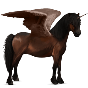 poney licorne ailé poney de selle belge bai brûlé