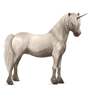 poney licorne fjord brunblakk