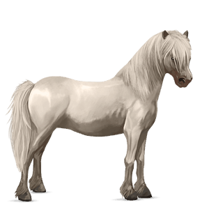 poney welsh alezan
