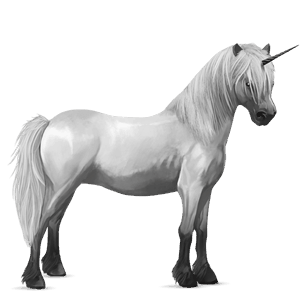 poney licorne poney de terre-neuve gris clair