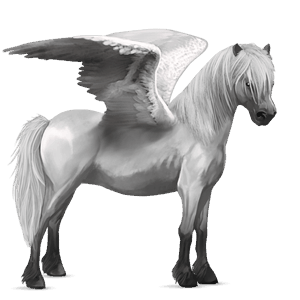 poney pégase kerry bog gris souris