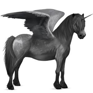 poney licorne ailé connemara gris pommelé