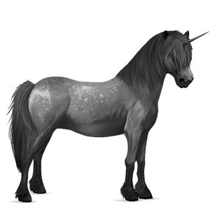 poney licorne poney de selle belge gris clair