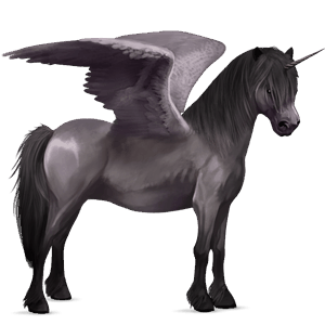 poney licorne ailé shetland gris clair