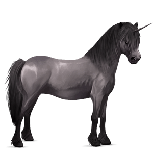 poney licorne pottok palomino