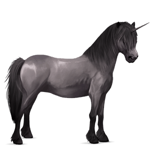 poney licorne highland pony gris souris