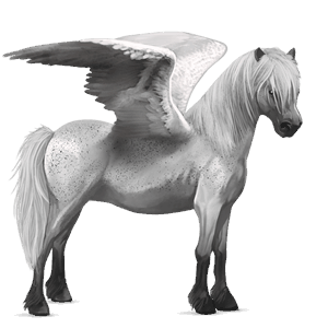 poney pégase shetland alezan crins lavés