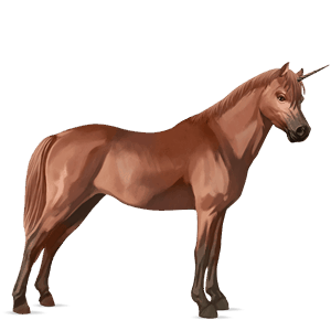 poney licorne dartmoor alezan