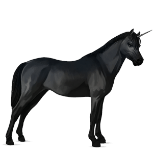 poney licorne français de selle noir