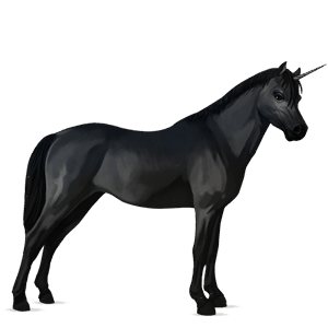 poney licorne noir