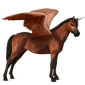 poney licorne ailé français de selle bai cerise