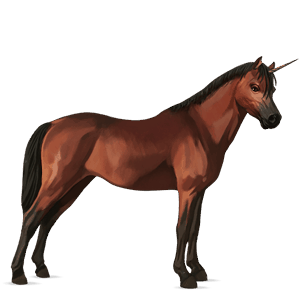poney licorne new forest bai cerise