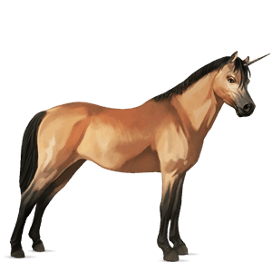 poney licorne quarter pony isabelle