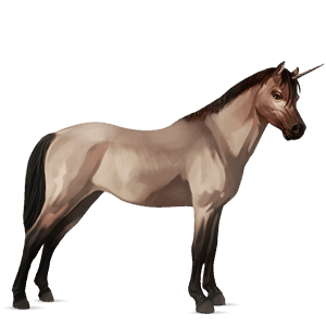 poney licorne poney de selle belge rouan