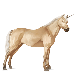 poney licorne français de selle bai brûlé