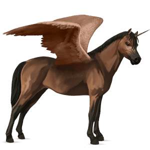 poney licorne ailé français de selle bai cerise