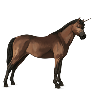 poney licorne welsh bai