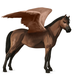 poney pégase welsh bai