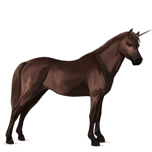 poney licorne welsh alezan brûlé