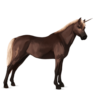 poney licorne kerry bog pie tobiano isabelle