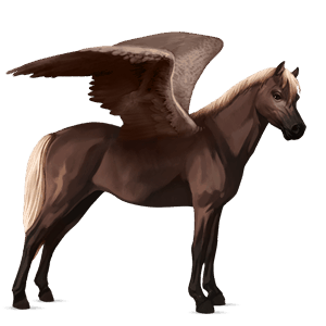 poney pégase poney de selle belge alezan brûlé crins lavés