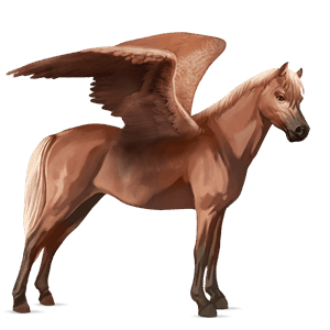 poney pégase français de selle aubère