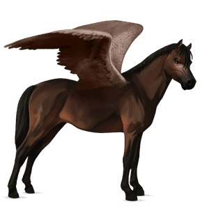 poney pégase welsh bai brûlé
