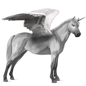 poney licorne ailé welsh gris clair