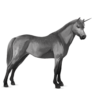 poney licorne quarter pony gris pommelé