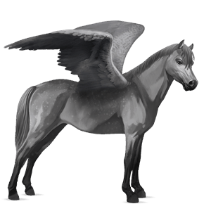 poney pégase welsh gris souris