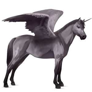 licorne de trait ailée drum horse pie tovero bai