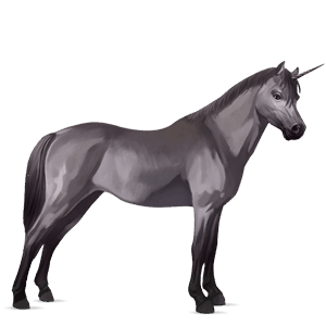 poney licorne kerry bog gris souris