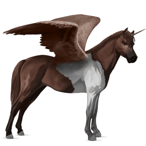 poney licorne ailé français de selle pie tobiano bai cerise