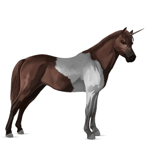 poney licorne kerry bog pie noir tobiano