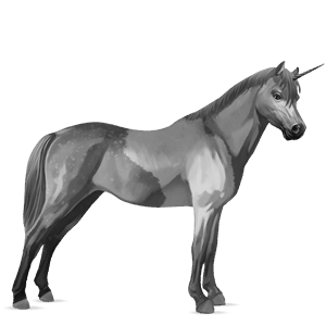 poney licorne highland pony gris souris